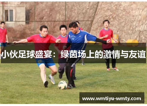 小伙足球盛宴：绿茵场上的激情与友谊