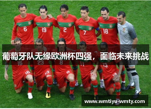 葡萄牙队无缘欧洲杯四强，面临未来挑战